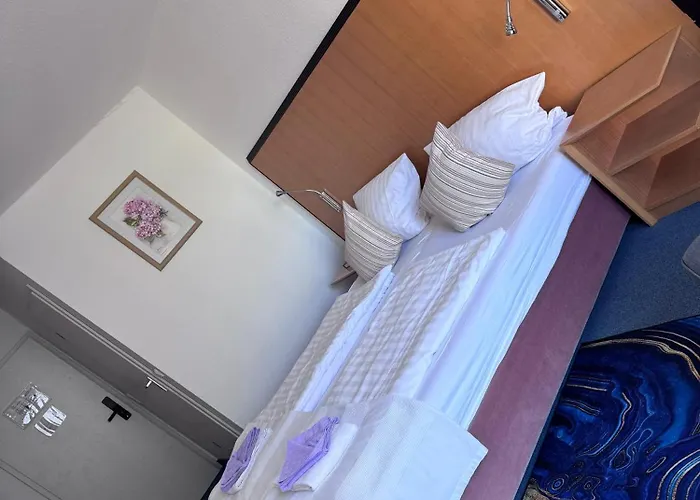 فندق تورغاور براوهوف 3*
